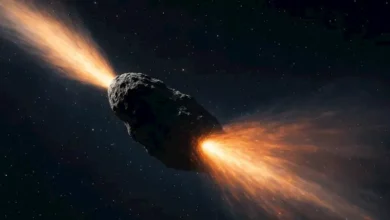 2026 1 5 11 34 29 249.webp