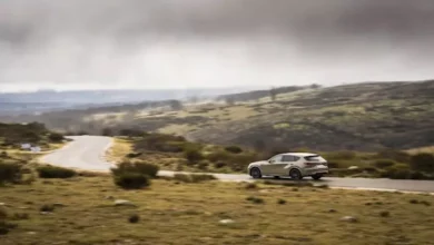 2026 1 5 12 9 7 20.webp