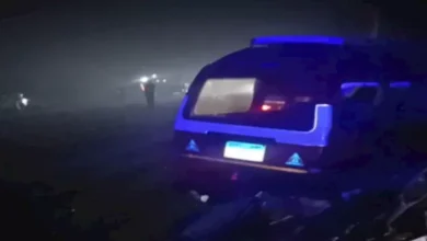 2026 1 7 0 29 39 983.webp