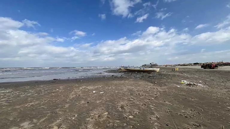 2026 1 9 14 30 35 208.webp