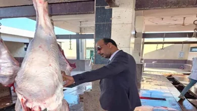 2026 1 9 16 42 40 812.webp