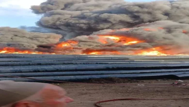 2026 1 9 17 19 50 993.webp