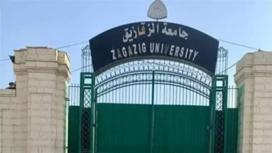 2024 11 11 21 38 29 110.webp