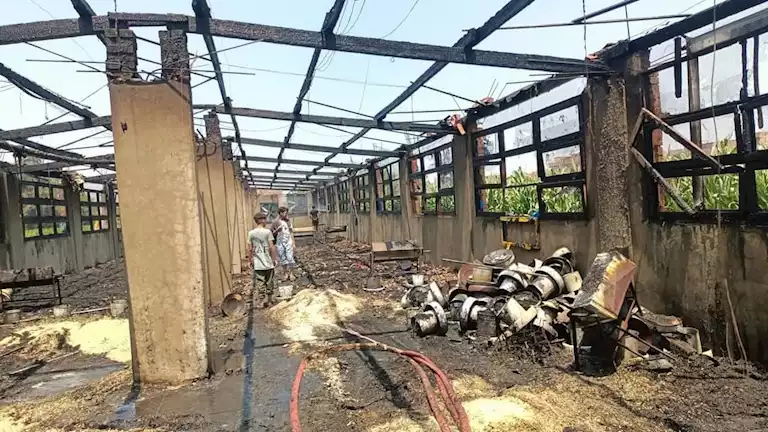 2024 7 11 16 54 5 85.webp