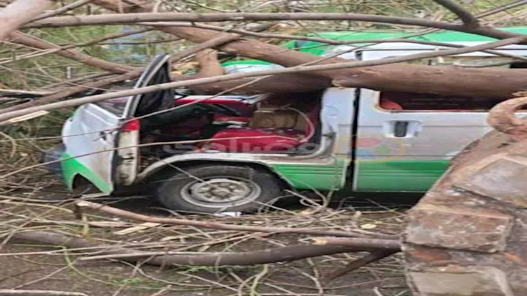 2025 12 28 14 12 35 474.webp