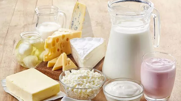 2025 5 25 17 28 35 591.webp