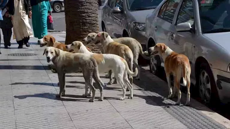 2026 1 15 17 3 53 14.webp