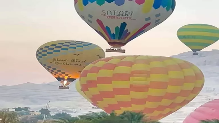 2026 2 10 12 56 39 569.webp