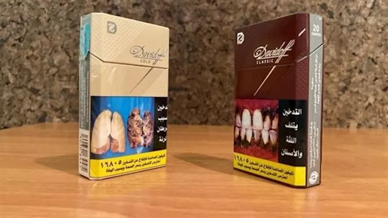 2026 2 10 16 25 2 287.webp