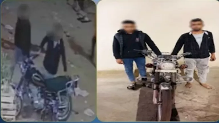 2026 2 11 13 10 1 568.webp