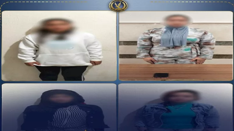 2026 2 11 13 33 53 785.webp