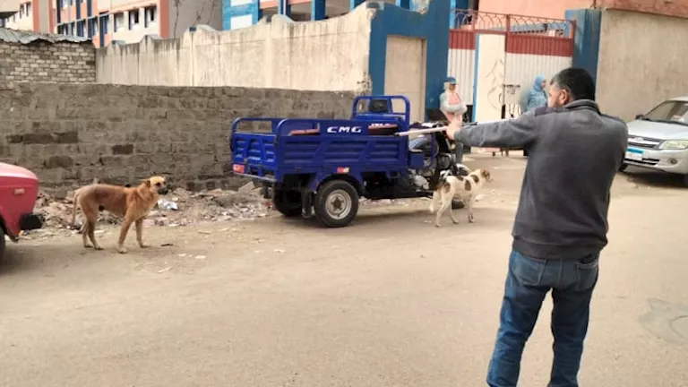 2026 2 12 14 55 29 221.webp