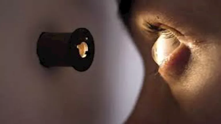 2026 2 12 23 3 4 767.webp