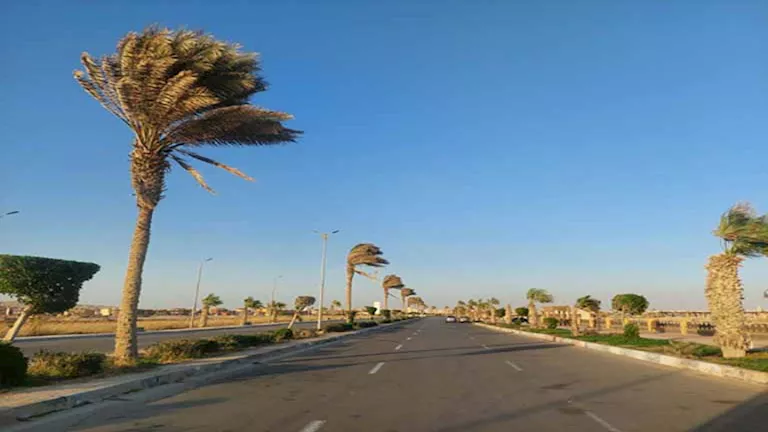 2026 2 13 12 54 36 948.webp