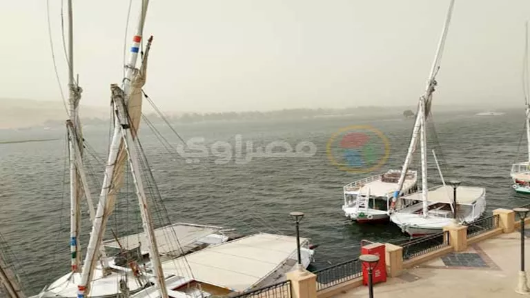 2026 2 17 12 31 35 599.webp