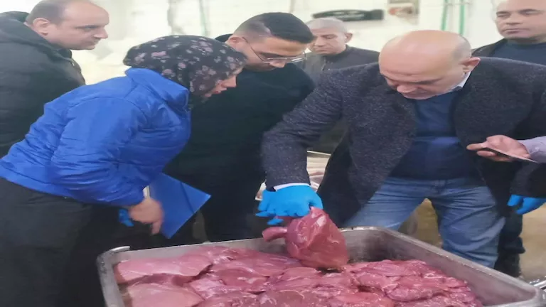 2026 2 18 20 31 34 872.webp