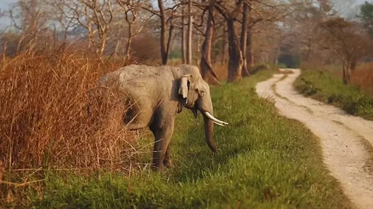 2026 2 1 11 31 29 406.webp