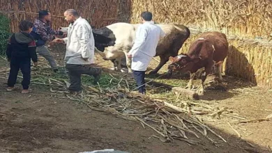 2026 2 1 13 26 42 507.webp