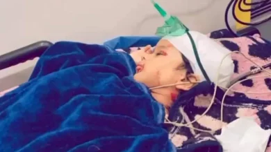 2026 2 1 18 12 34 946.webp