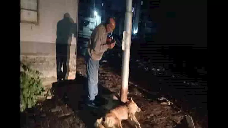 2026 2 24 13 40 14 928.webp