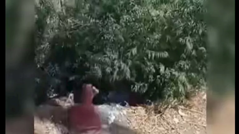 2026 2 26 13 53 30 274.webp