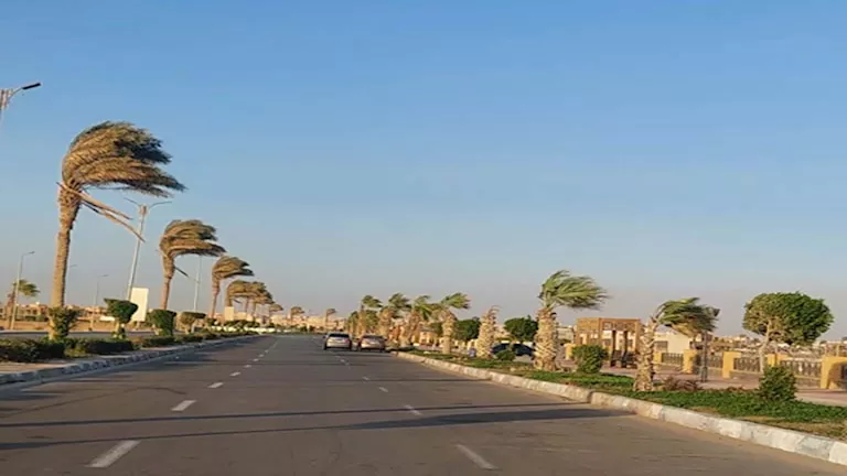 2026 2 27 11 22 15 149.webp