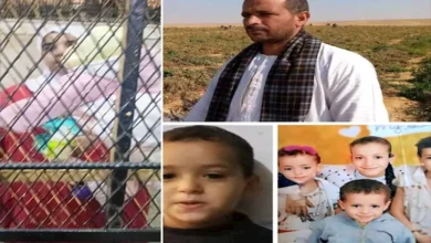 2026 2 2 18 6 6 242.webp