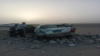 2026 2 2 23 0 2 872.webp