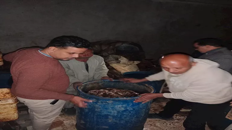 2026 2 5 10 50 21 312.webp