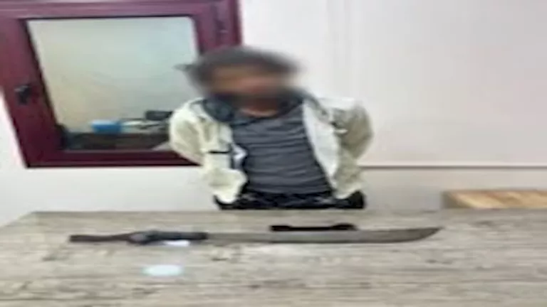 2026 2 8 20 18 29 728.webp