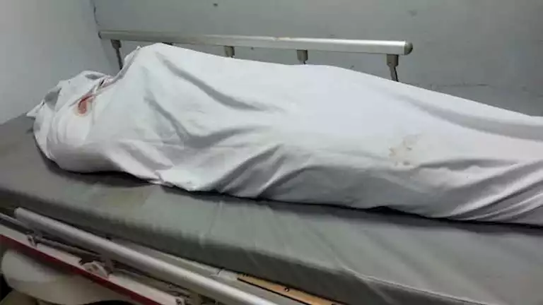 2024 7 30 19 16 9 974.webp