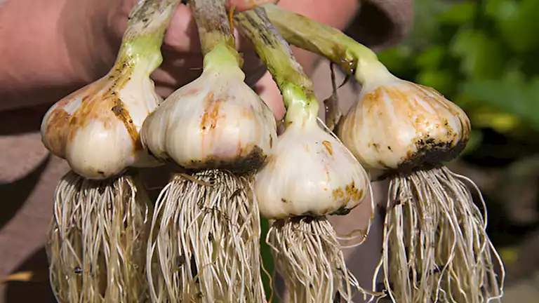 2025 1 12 12 47 34 237.webp