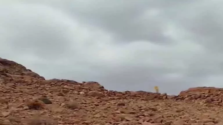 2026 1 9 13 51 11 39.webp