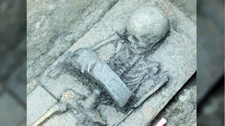 2026 3 14 15 34 33 694.webp