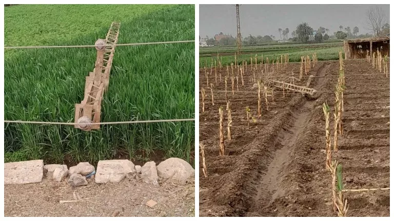 2026 3 14 15 47 53 433.webp