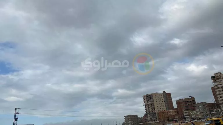 2026 3 14 17 9 2 991.webp