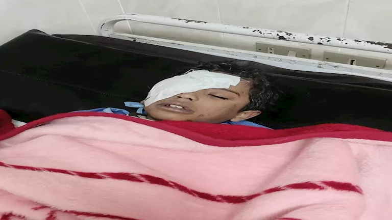 2026 3 16 12 27 55 294.webp