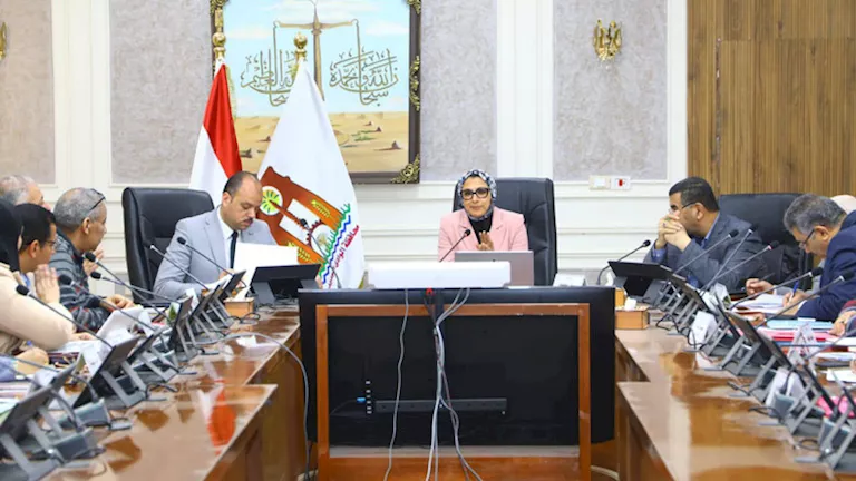 محافظ الوادي الجديد تصدر قرارات حاسمة لتنظيم مبادرة النخيل 1 2026 3 16 17 0 43 261.webp