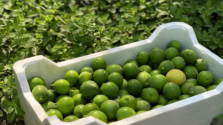 2026 3 17 10 34 33 330.webp