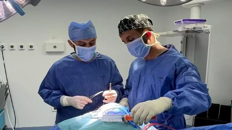 2026 3 17 16 23 35 17.webp