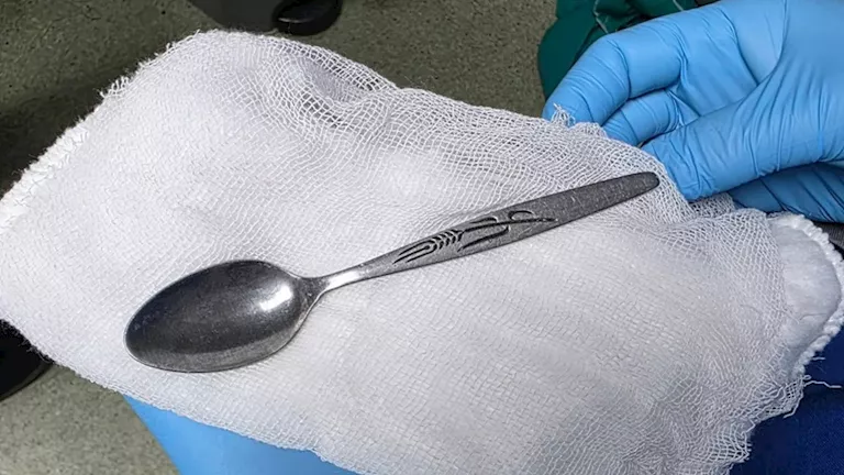 2026 3 21 10 43 22 669.webp