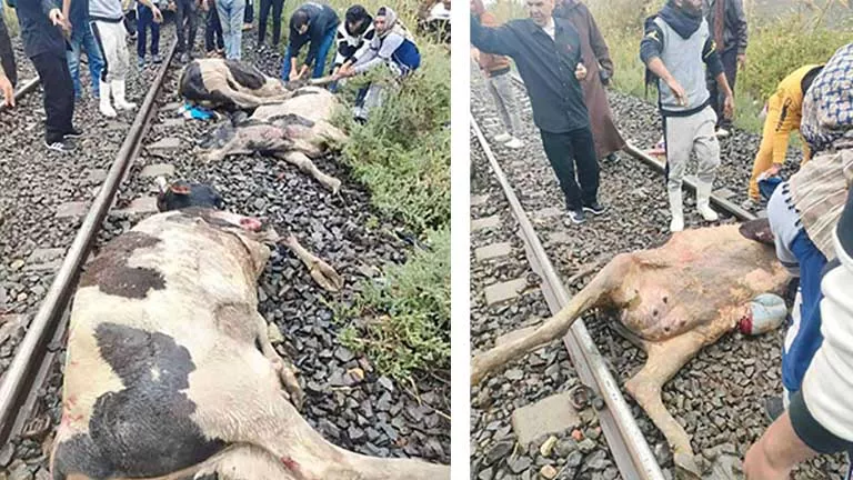 2026 3 21 16 19 38 986.webp