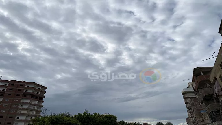 2026 3 2 16 48 6 207.webp