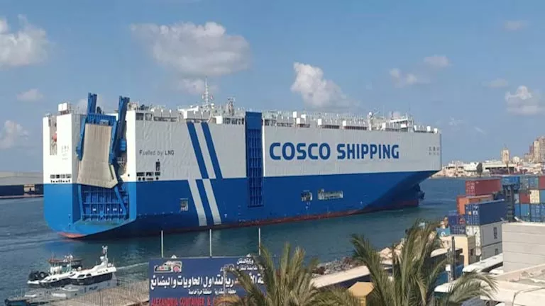 تفاصيل : ميناء الإسكندرية يستقبل أكبر سفن الرورو العاملة بالغاز الطبيعي المسال 1 2026 3 3 21 35 52 721.webp