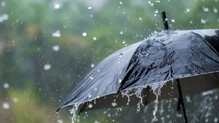 2026 3 8 11 4 12 954.webp