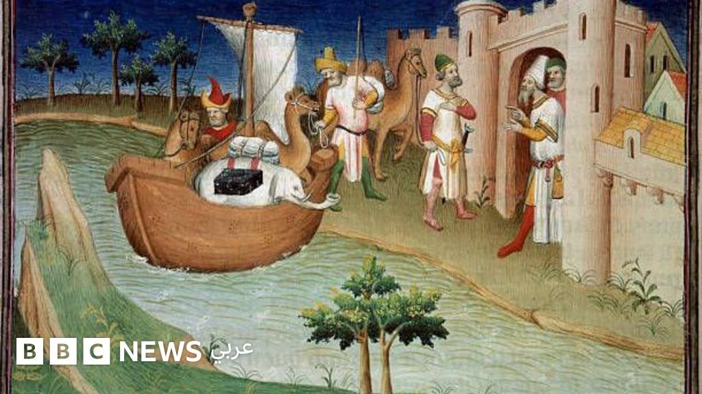 3dc58d70 4900 11f0 91b3 ed326fc37f34