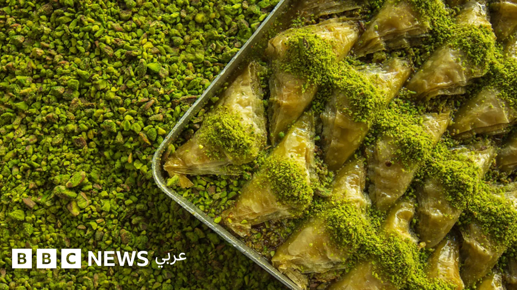 7b5fd6f0 2207 11f1 b297 95b0a0a8331e