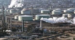 1776038311 1 1863847