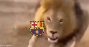 1776211184 1 1864229