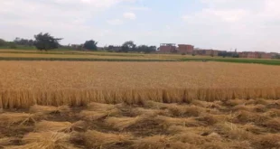 2025 5 16 15 19 25 261.webp